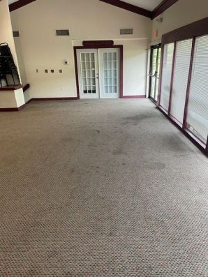 Before & After Commercial Carpet Cleaning in Waterbury, CT (3)